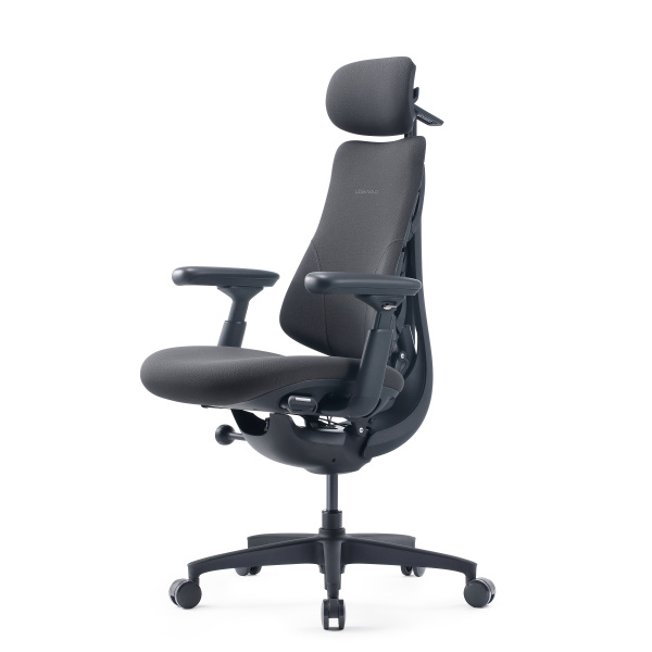 Кресло LiberNovo Dynamic Omni OC1 Gen (обновленная версия), размер 48 см, цвет Graphite, с подставкой для ног. Глобальная версия