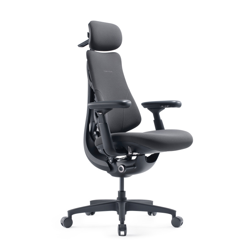 Кресло LiberNovo Dynamic Omni OC1 Gen (обновленная версия), размер 45 см, цвет Graphite, с подставкой для ног. Глобальная версия